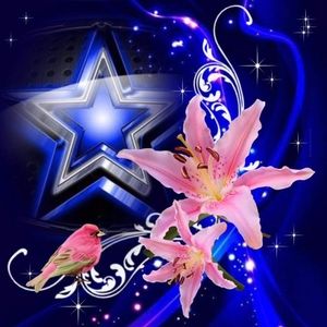 Meet your Posher, Gwen